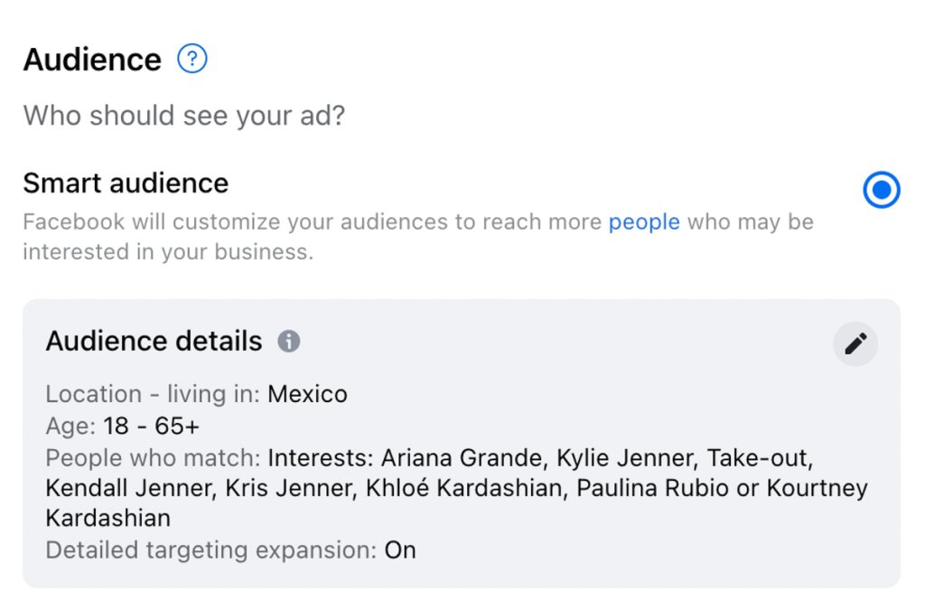 Google Ads Audience settings interface