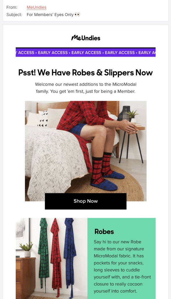 Screenshot of the MeUndies exclusive subscriber offer email promo