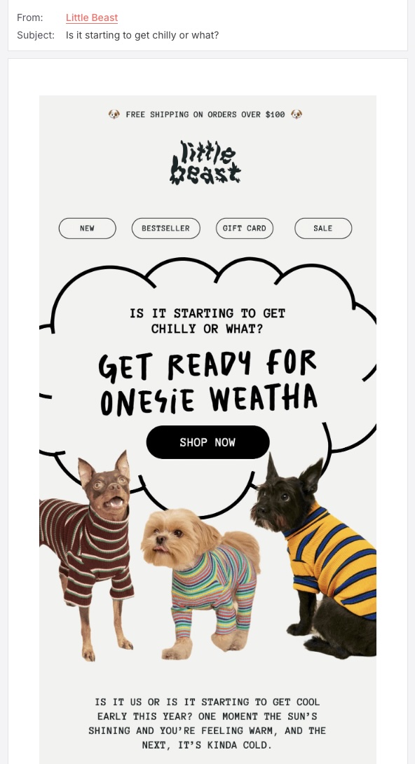 Screenshot of the Little Beast seasonal email promo