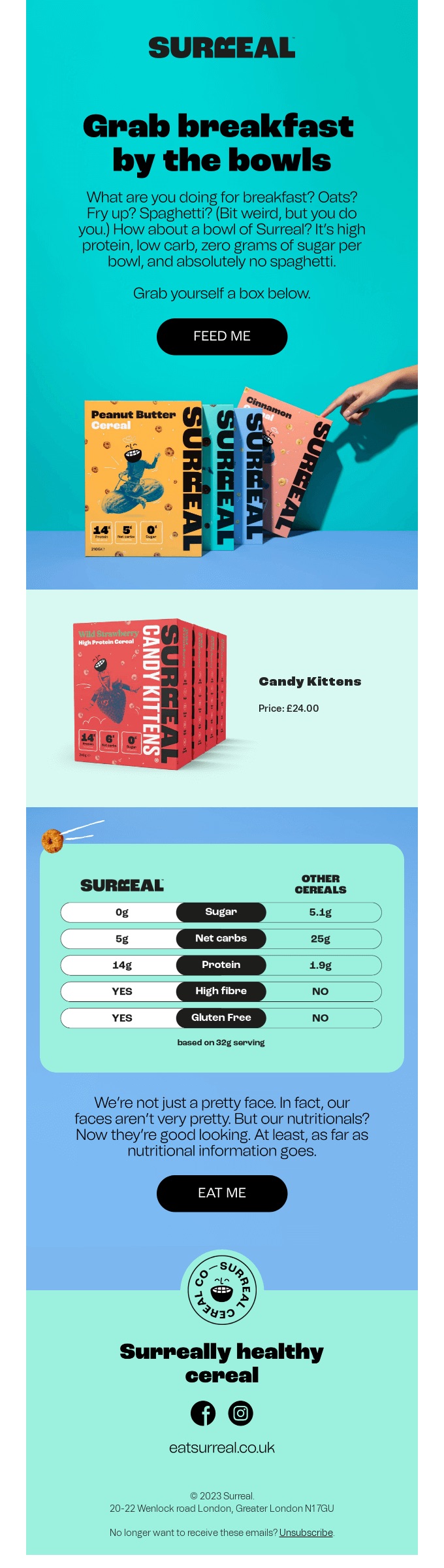 Screenshot of an abandoned cart email from Surreal, showcasing visual and text elements