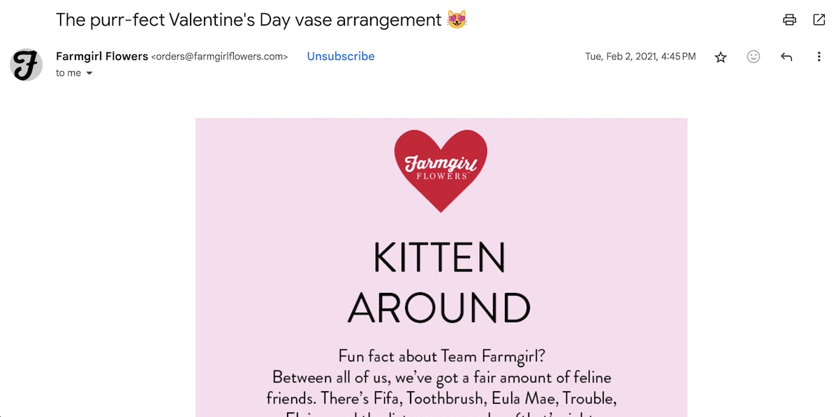email-subject-lines-promotional