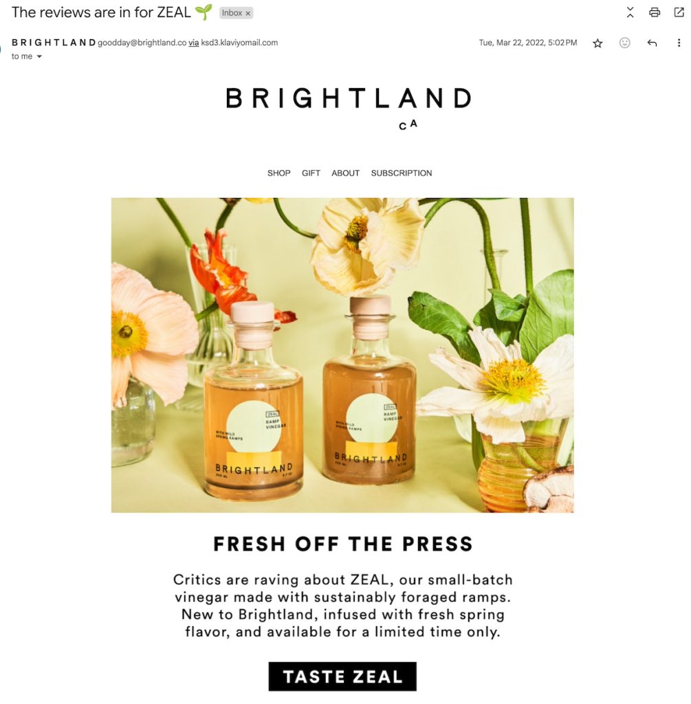 product-launch-email-example-post-launch-brightland