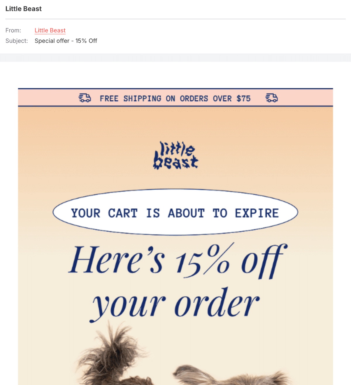 abandoned cart email example for lead nurturing