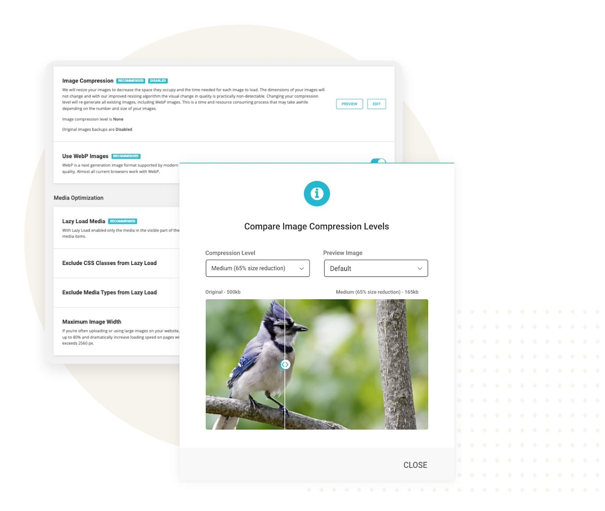 Media optimization with SiteGround Speed Optimizer plugin