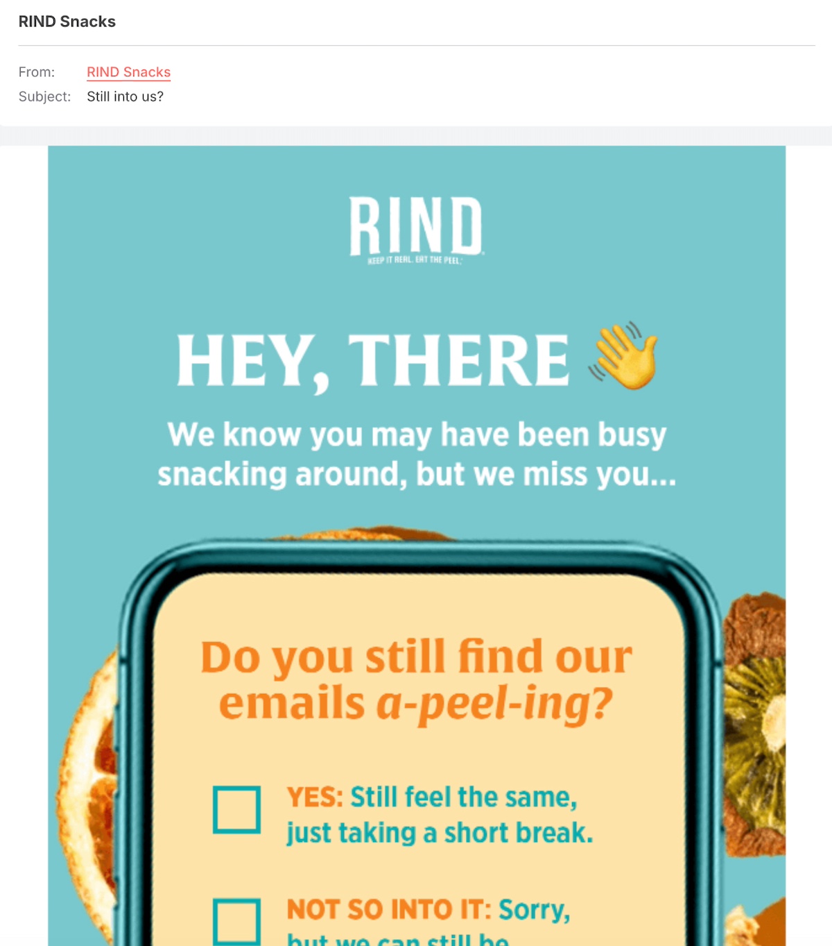 re-engagement survey email example