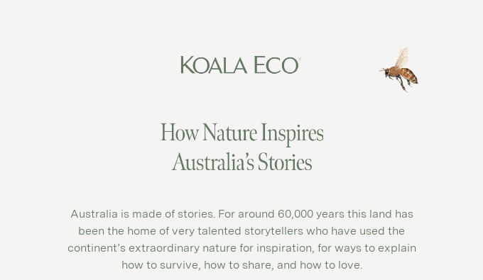 email header design koala eco