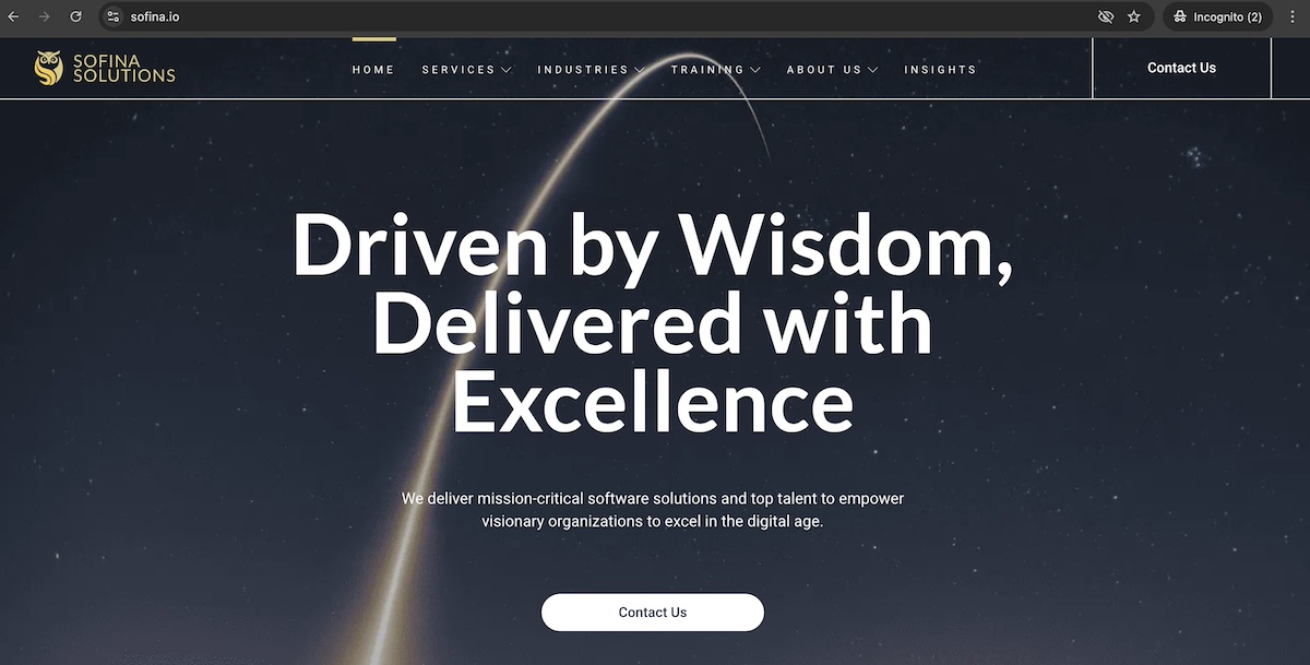 Example website with a .io domain extension