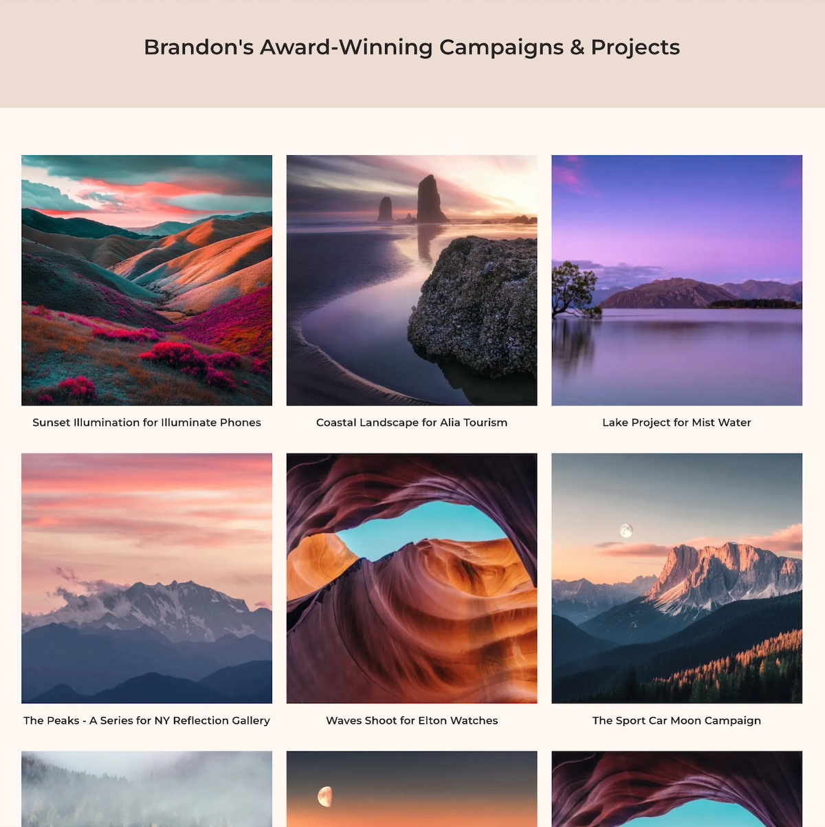 Example of a proof and trust website page