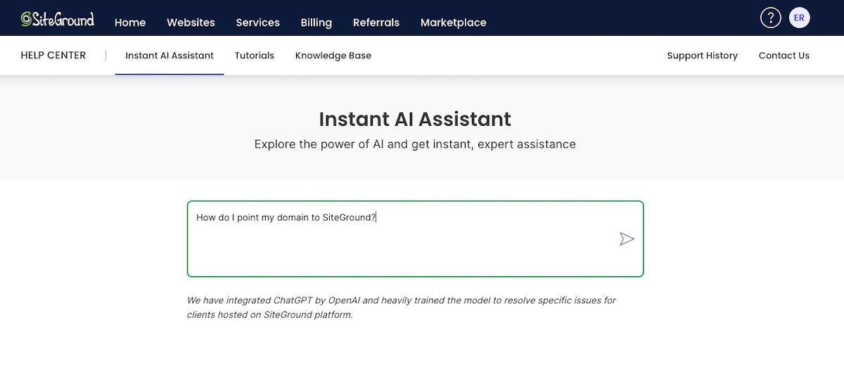 Example of an AI assistant with an LLM embedded to provide answers