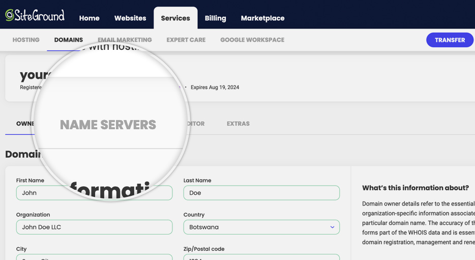Example of pointing a domain to a server