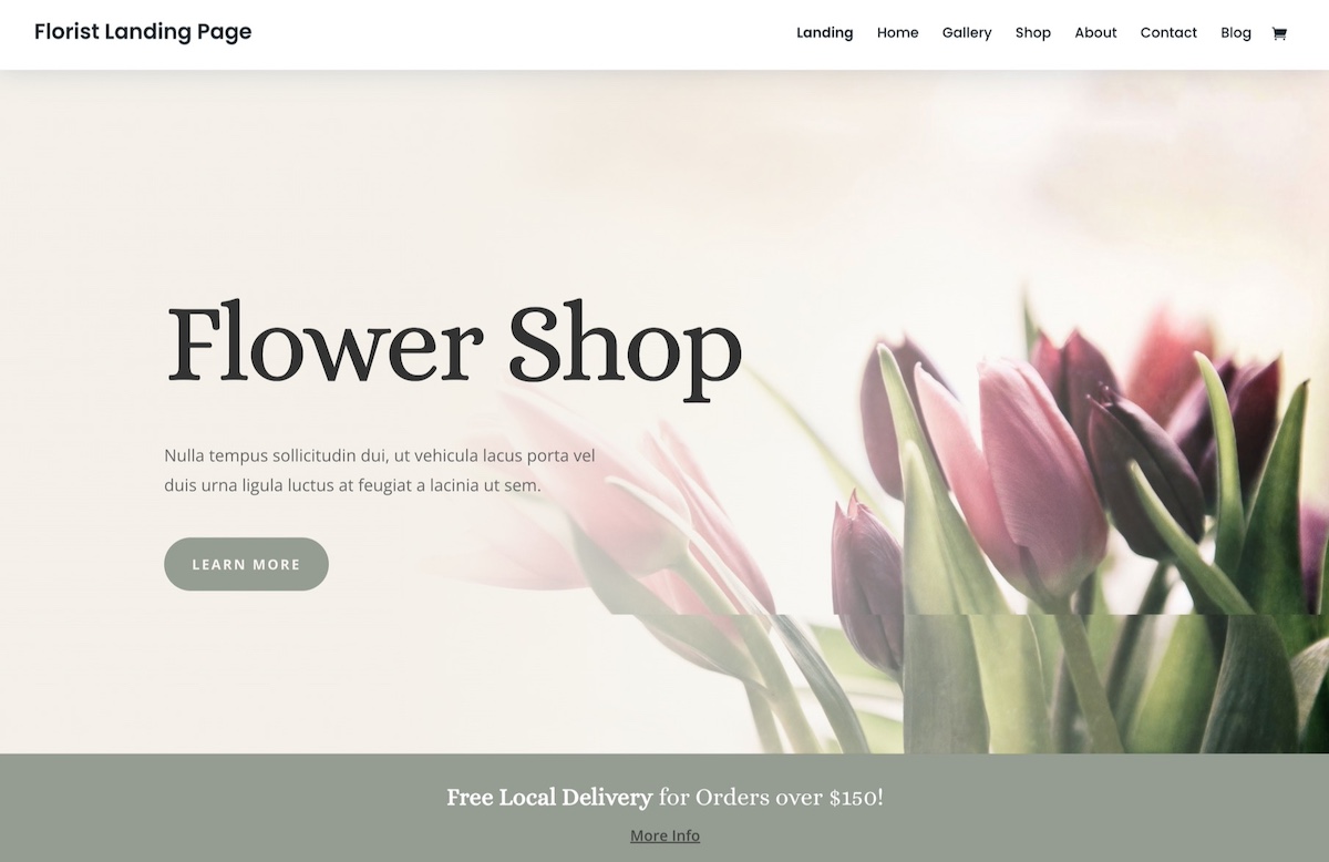 Example of a Divi WordPress theme homepage header
