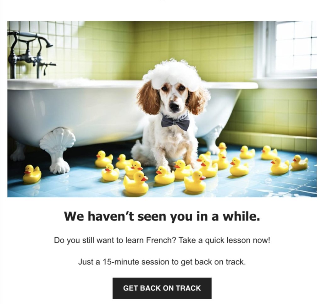 Example of an ecommerce email marketing we miss you email