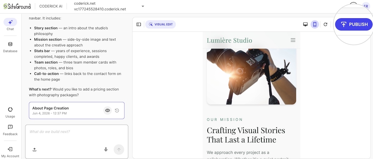 Example of publishing a website with Coderick AI