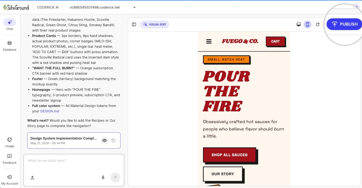 Publishing a website created by Coderick AI