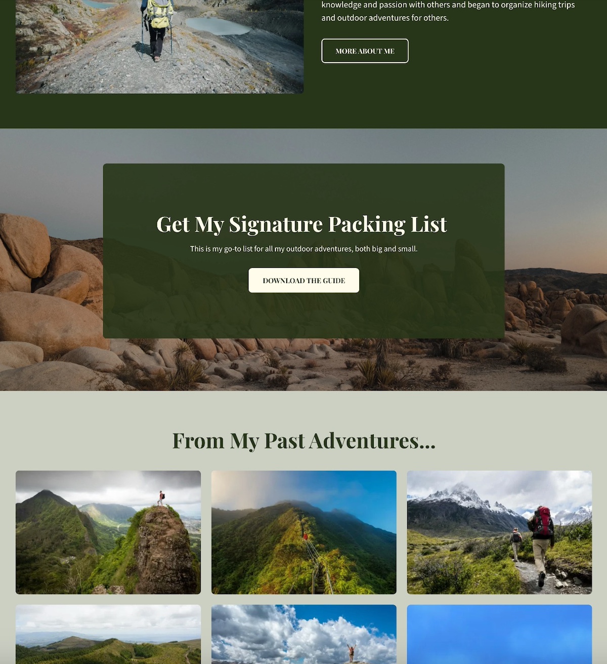 A lead magnet downloadable offered on a blog for promotion