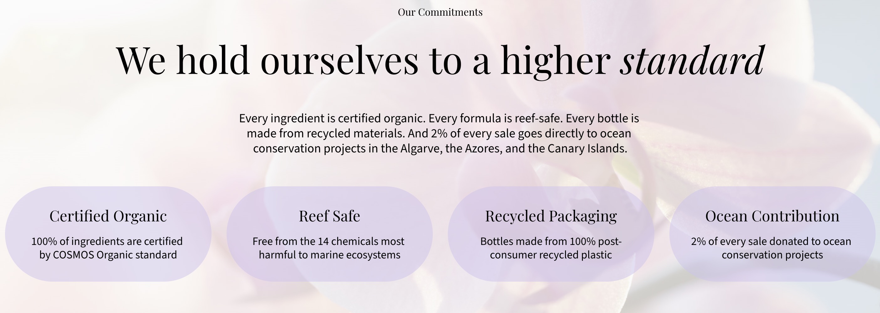 A website with a different font for headers than body copy