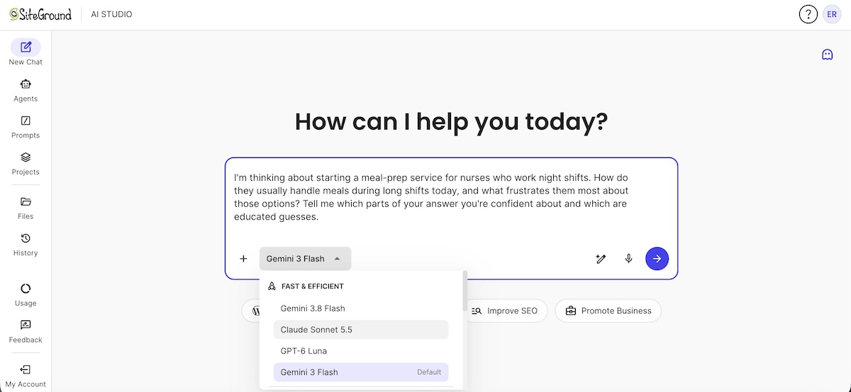 SiteGround AI Studio interface with various LLM chat models