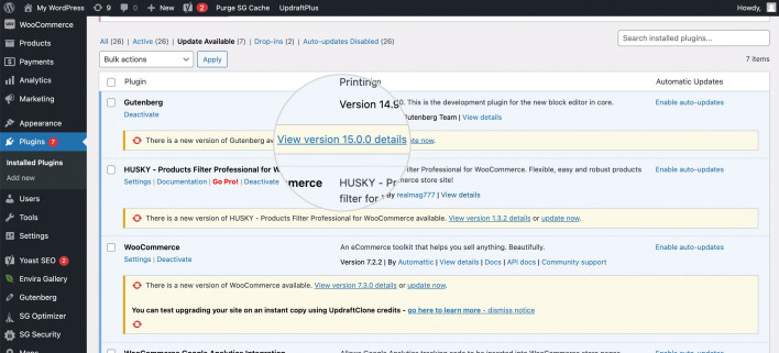 Updating plugins on the WordPress backend