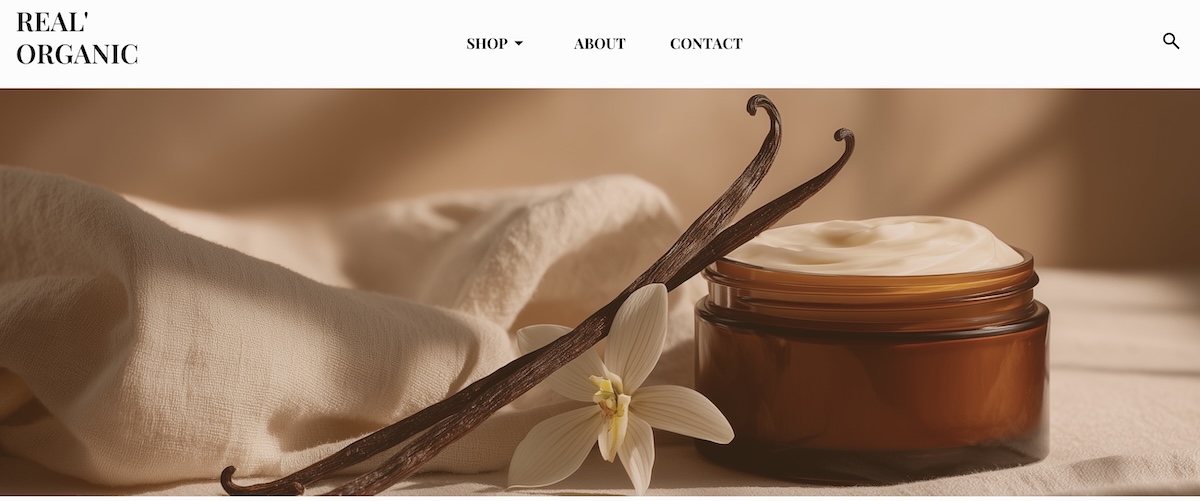 example of a website homepage with just the essential pages