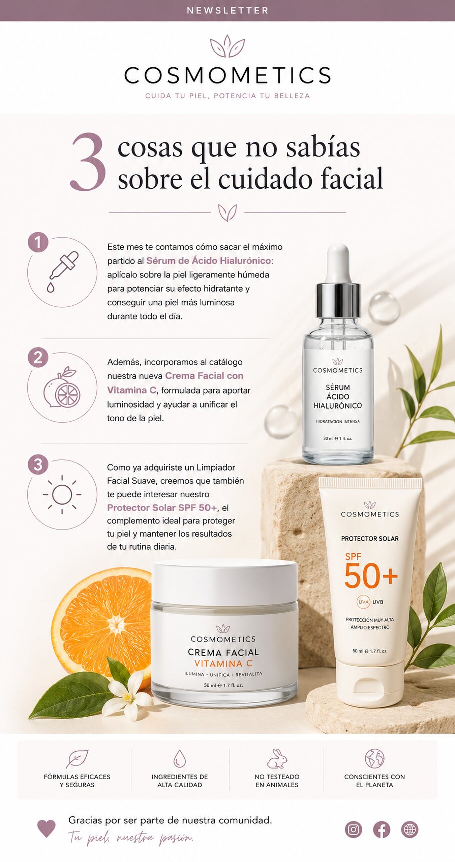 Captura de ejemplo de newsletter
