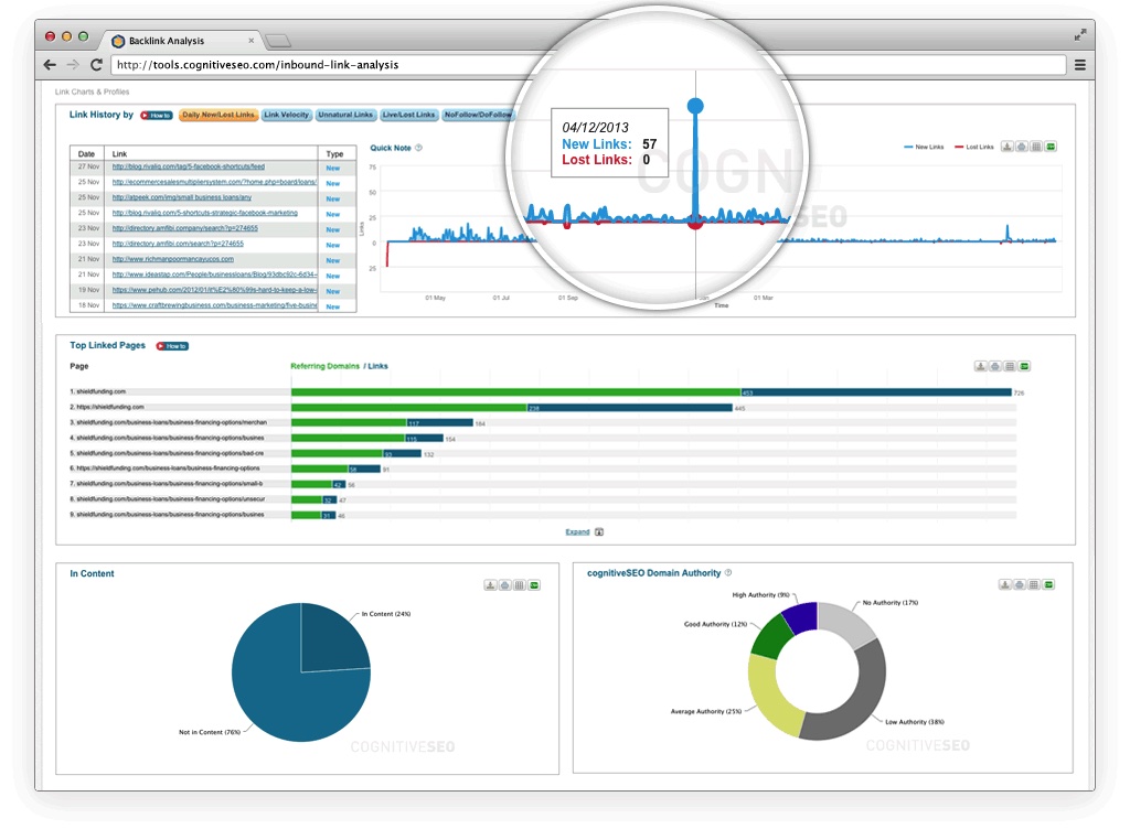 CognitiveSEO
