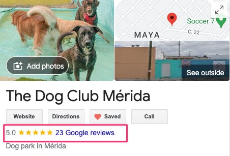Captura ejemplo reseñas en Google