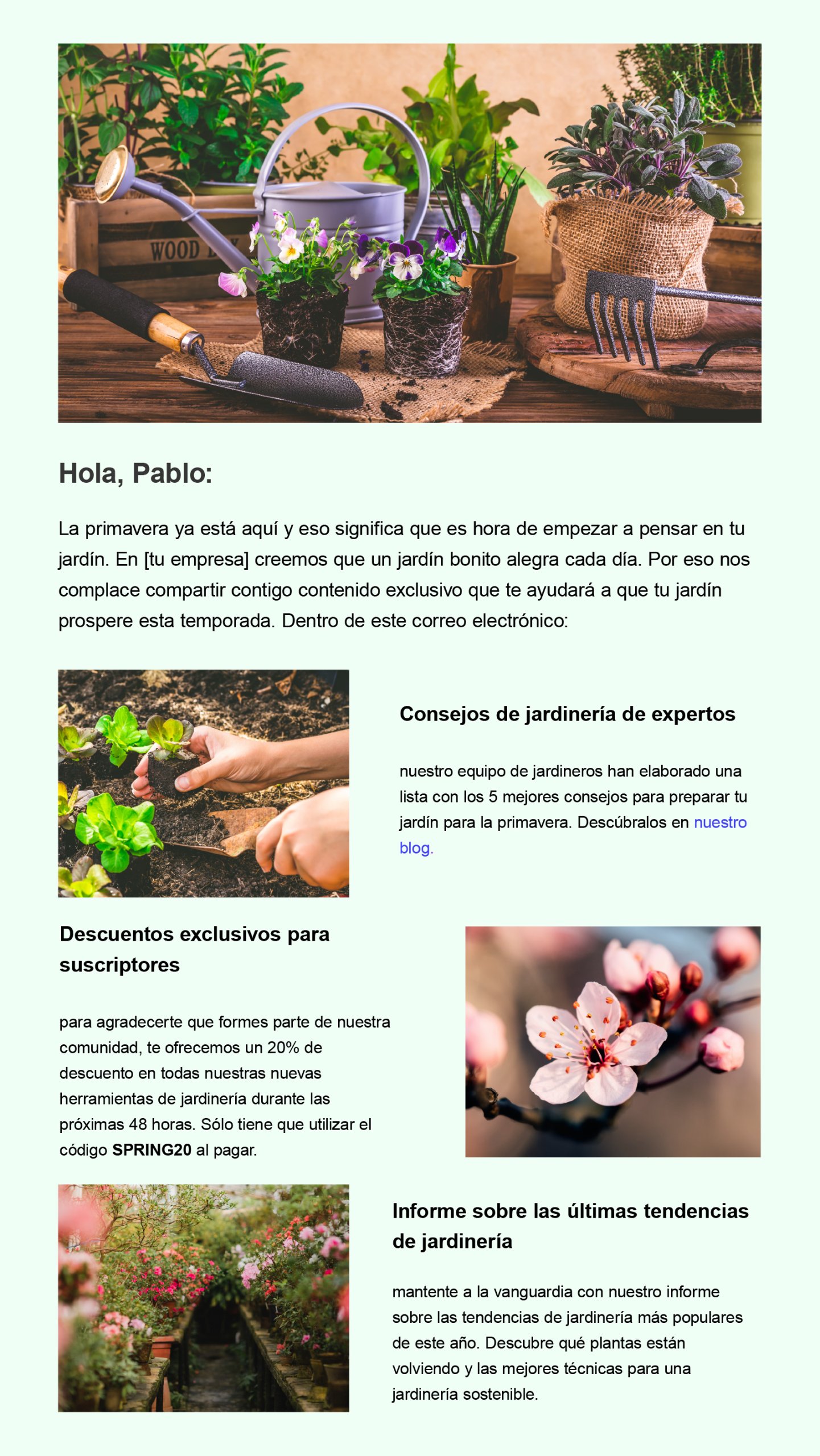 Captura de un ejemplo de email de éxito 2