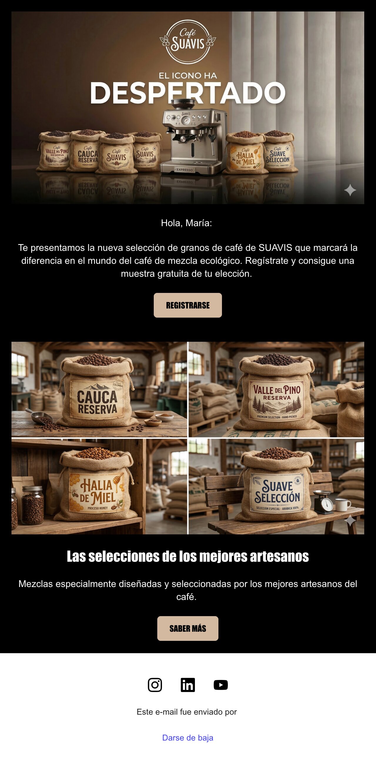 Captura ejemplo correo lanzamiento de nuevos productos