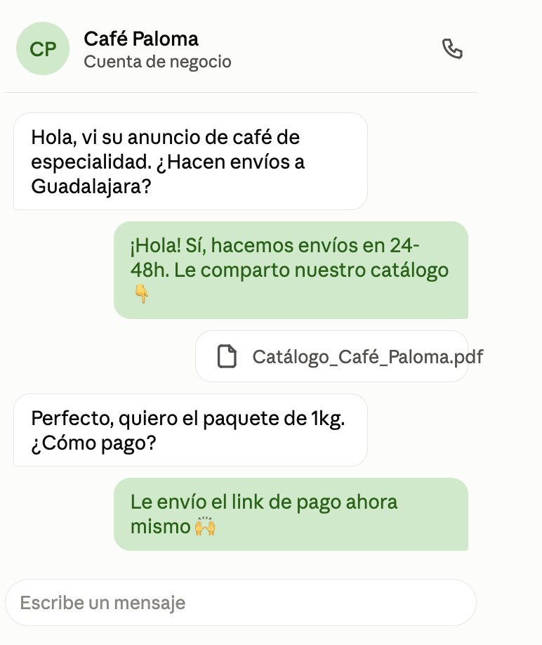 Ejemplo WhatsApp Business